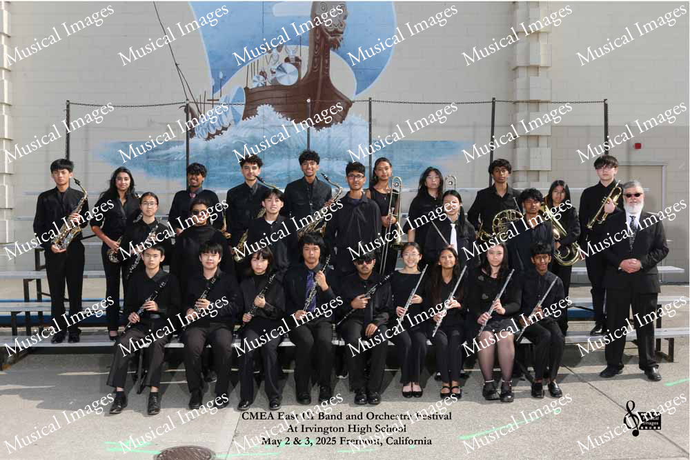 Musical Images